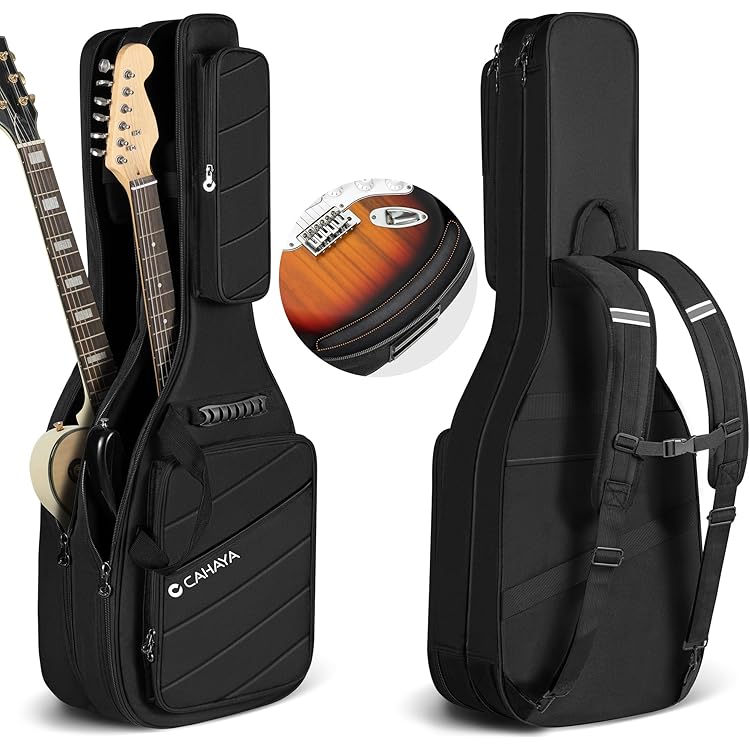 Amazon.co.jp: RITTER RGB4‑DE ANT BERN Double Electric Guitar